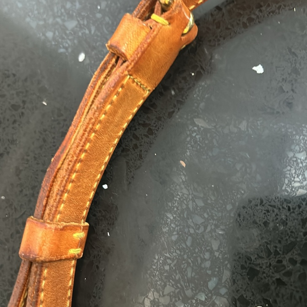 Louis Vuitton RunWay Bag - Picture 14 of 16